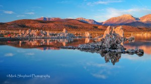 Mono Lake-032