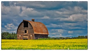 Sask Barn-001