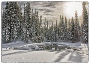 Emerald Lake_191