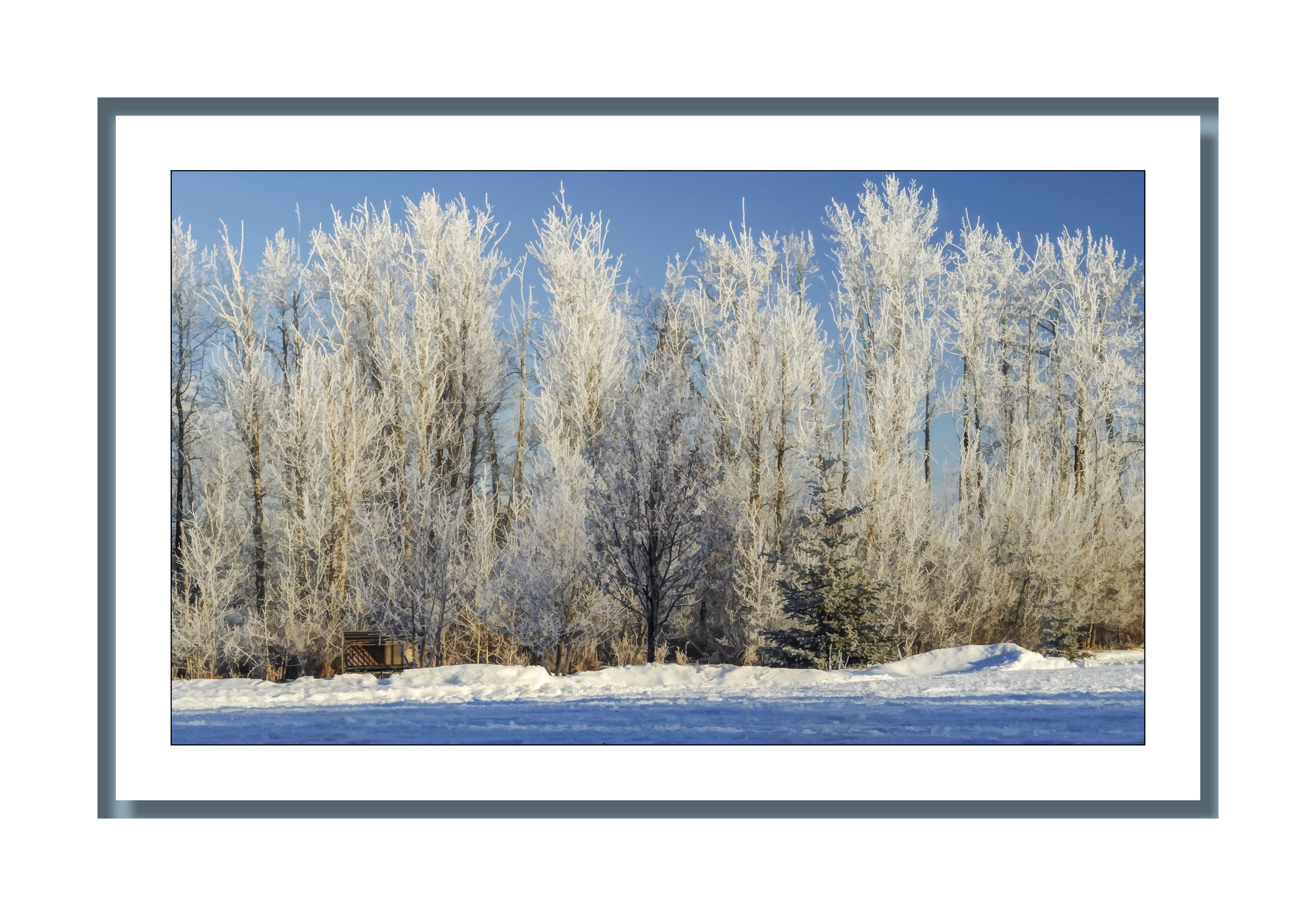 Rural Alberta on a Cold Winters Day